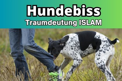 Hundebiss im traum Islam. Traumdeutung Hund Islam. Hund islamische Bedeutung.