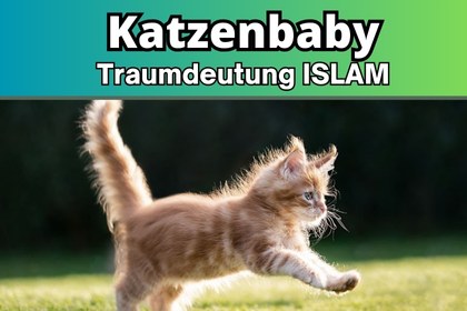 Katzenbaby im traum islam Bedeutung. Katzenbaby islamische traumdeutung