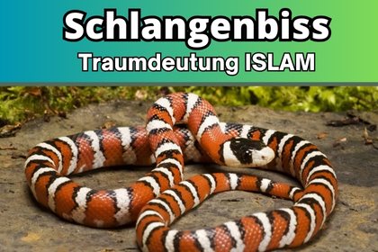 Schlangenbiss im Traum Islam Bedeutung. Schlange gebissen islamische Traumdeutung.